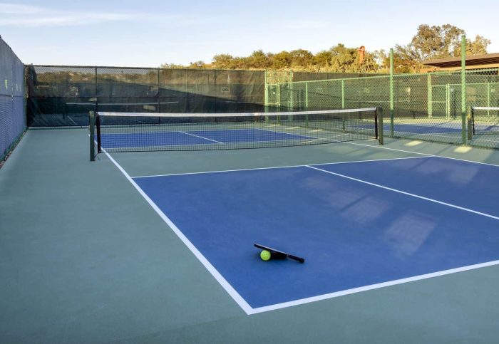 istock-pickleball-13022023-1-1